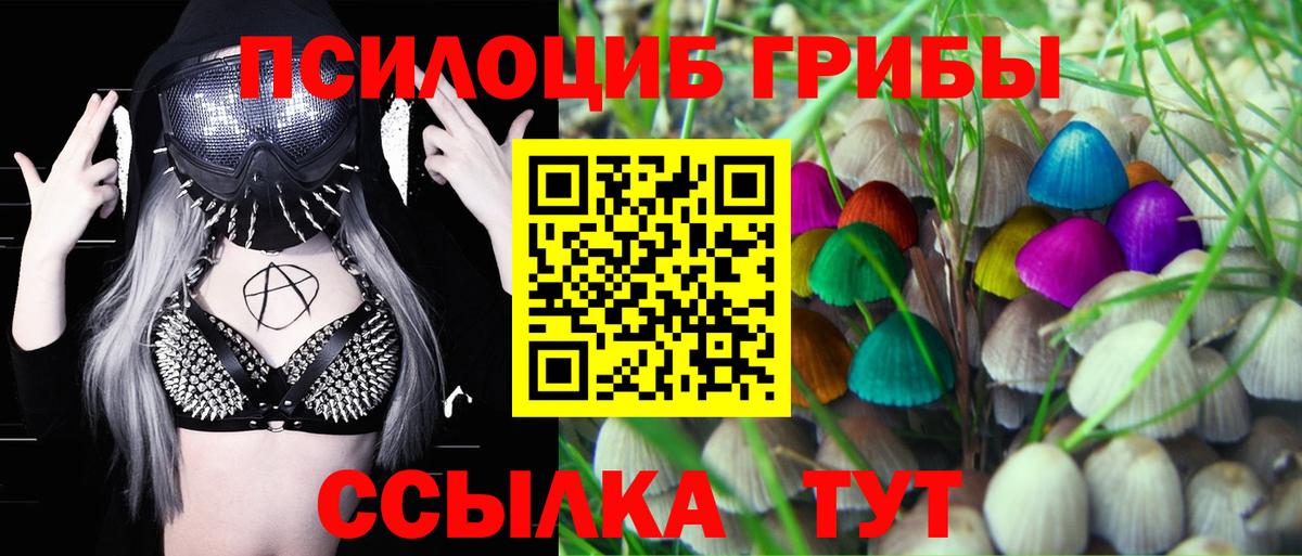 Псилоцибиновые грибы мухоморы Гусев
