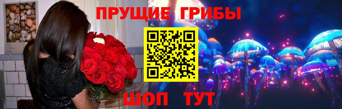 Псилоцибиновые грибы MAGIC MUSHROOMS  Галлюциногенные грибы Psilocybe  Вход с VPN  Гусев 