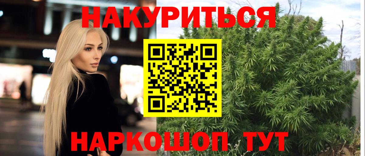 Каннабис гибрид Гусев